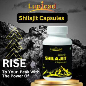 Black Shilajit | Power Stamina | Immunity Booster - 30 Caps