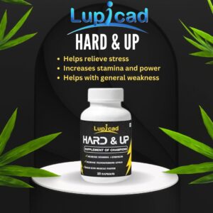 Hard & UP Capsule For Man | Ayurvedic Energy Booster | 20 - Caps